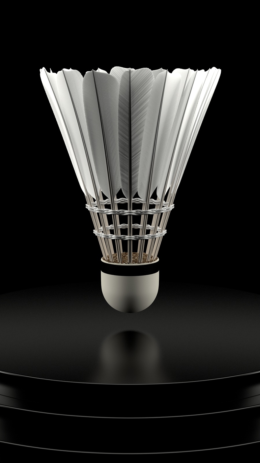 这位曾效力 这位曾效力