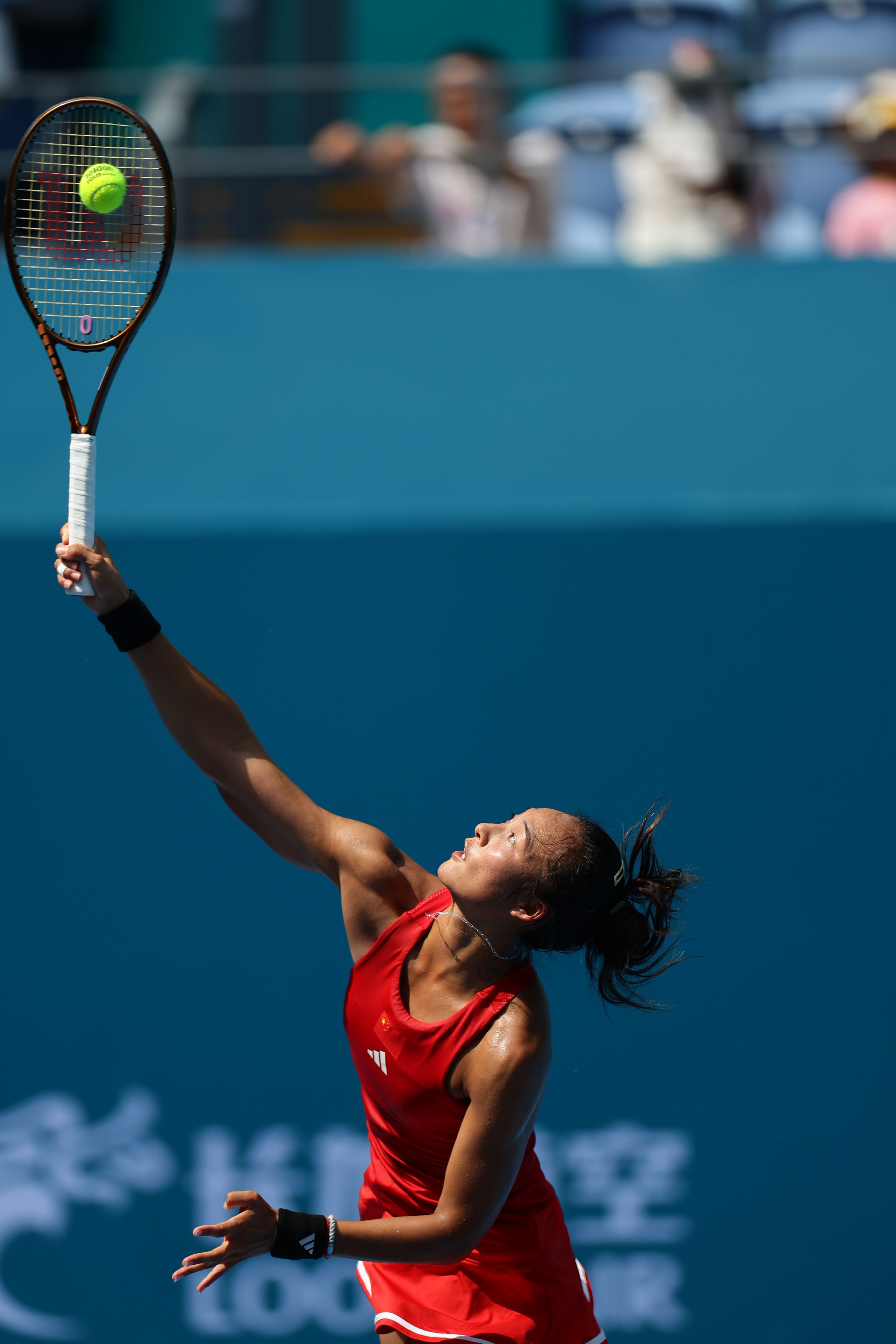 成长轨迹 成长轨迹