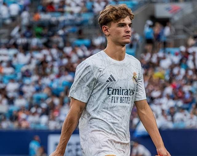 这一选择不 这一选择不