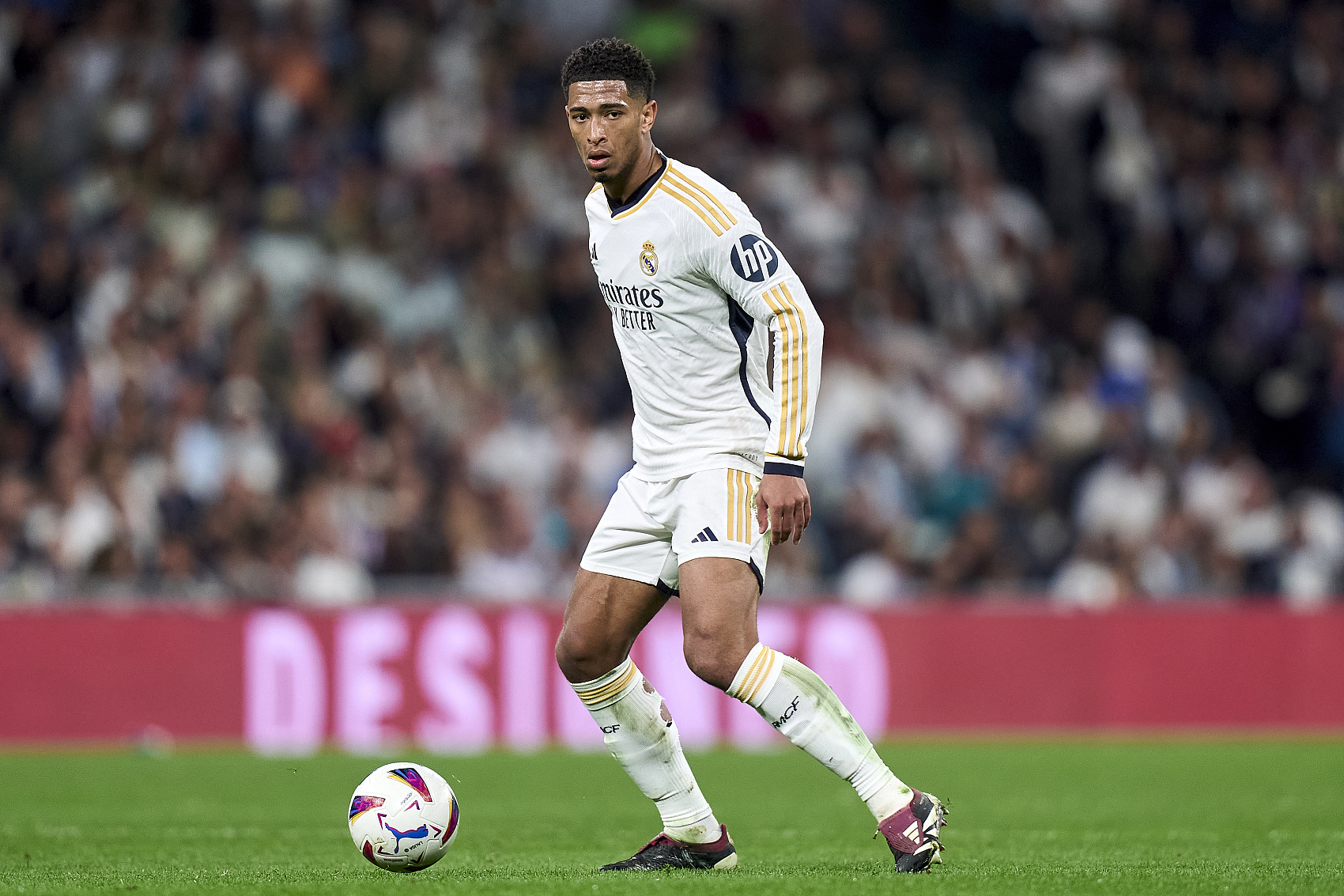 更需要适当 更需要适当